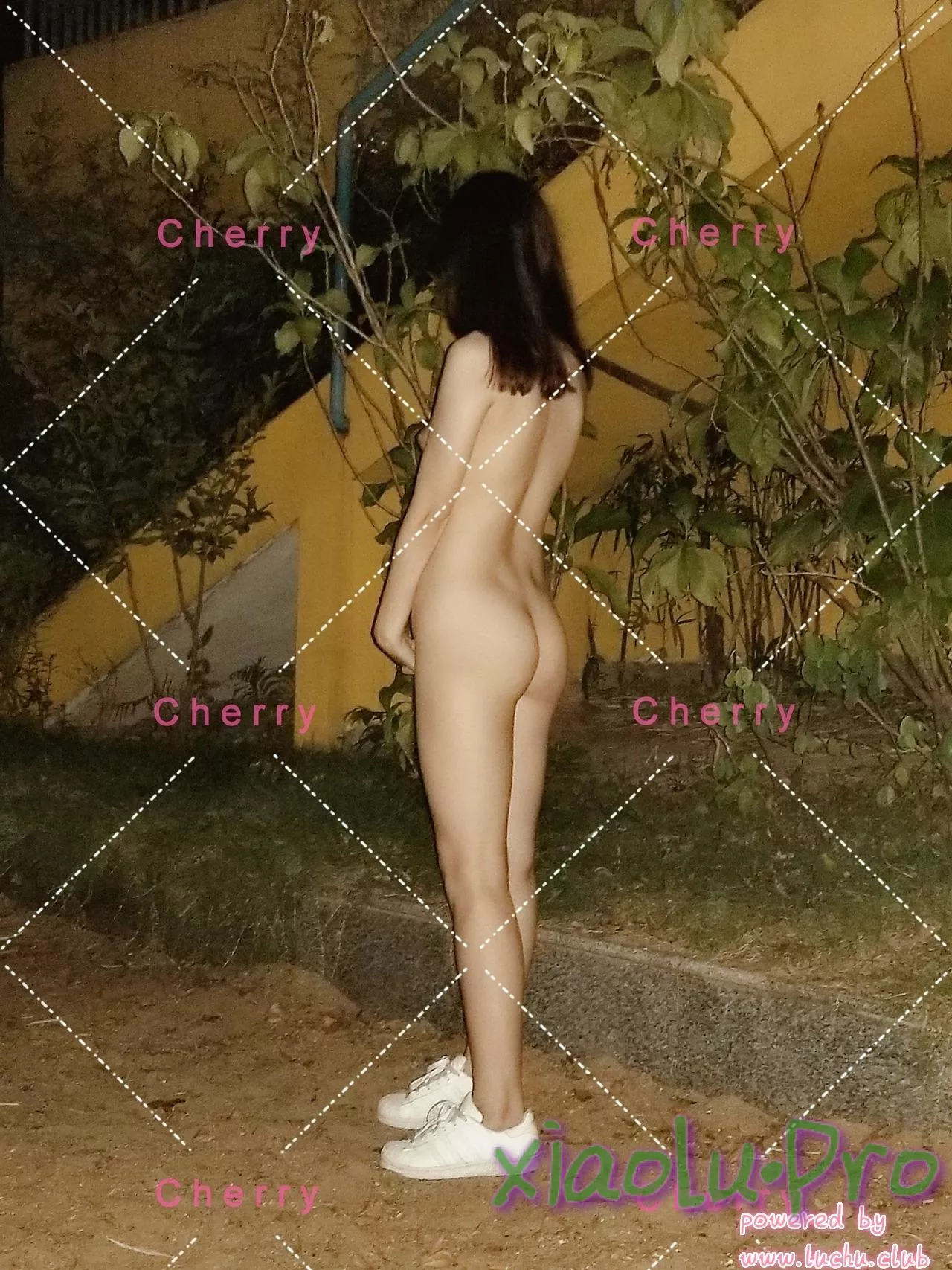 Dr.Lee，ttxxx91，Cherry等十位大神露出系列齐发1915P+24V-小露