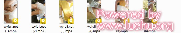 福利姬小仙女vip视频--户外露出 [5V]