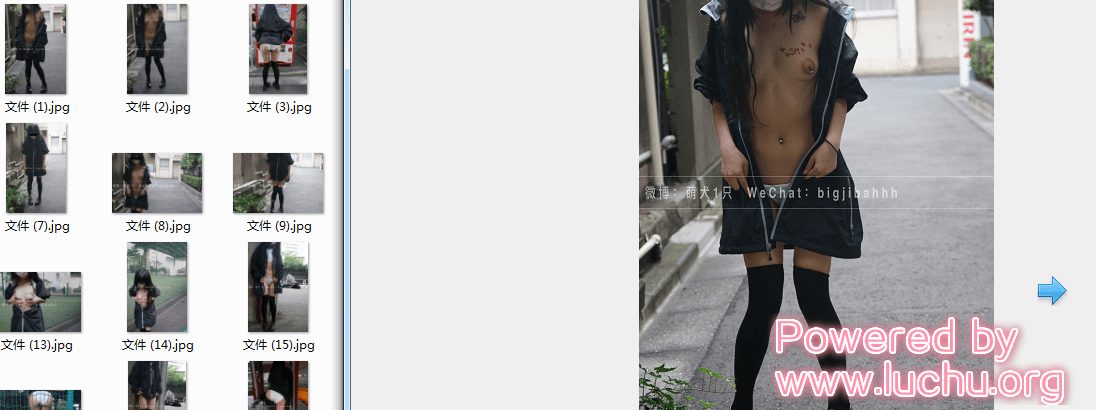 @萌犬一只 微博网红 露出合集 [18套/743MB]