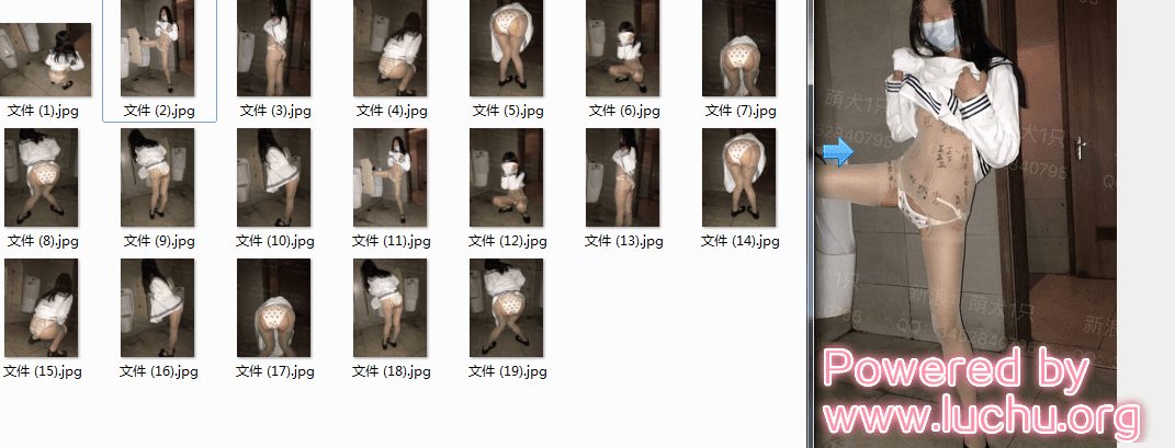 @萌犬一只 微博网红 露出合集 [18套/743MB]