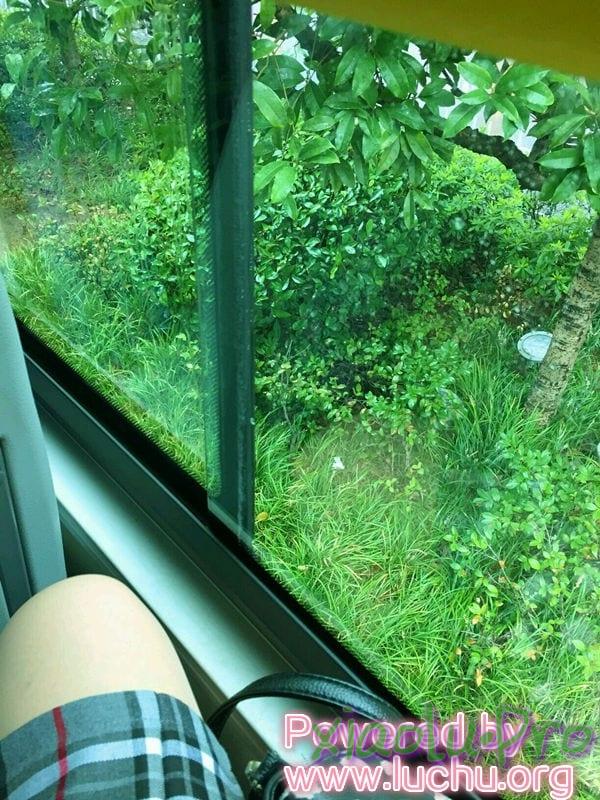 @苏苏小公主酱（月野兔） - 学生制服公交车上微尺度露出视频+图包合集