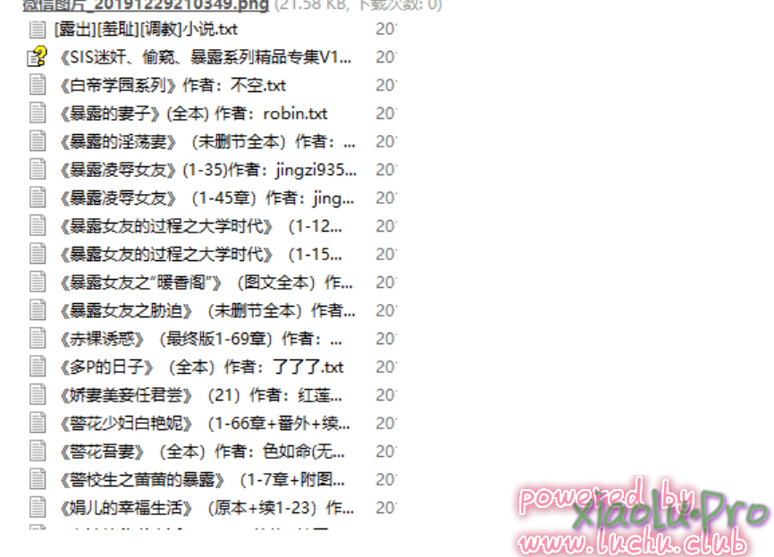 各种露出和暴露的小说一共196本 作者：未知