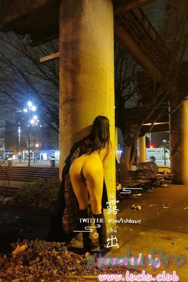 网红留学生ImAShlave露出视图合集[333P+11V]