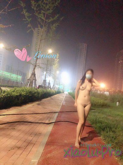@lemon 尺度私拍视图合集 [167P+19V/273M]