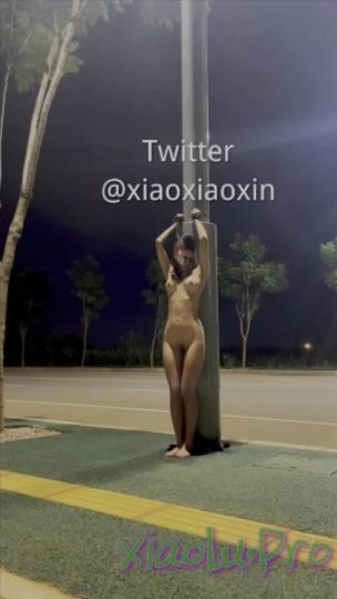 @小小星 - 全裸公园街道露出 [2V 1.55G]