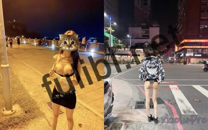 @高雄小野猫 OnlyFans尺度视图作品合集 [430P+55V/4.08G]