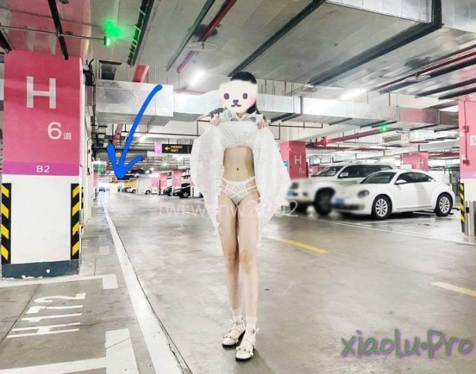 推特清纯长腿二次元反差萌妹@WANW2002 - 爱露出COS装操场图书馆露逼天台楼道口交[7v63p630m]