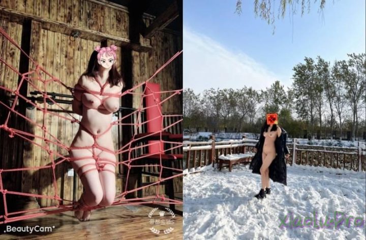 重磅首发推特大佬做爱调教各路极品空姐演员舞蹈虐乳虐阴虐肛户外露出无水全套 [3020M/MP4]