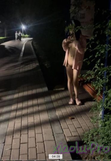 19岁女儿奴【林林susu00006】超强人前露出裸体取外卖影院自慰等【多V989M】【私有云】