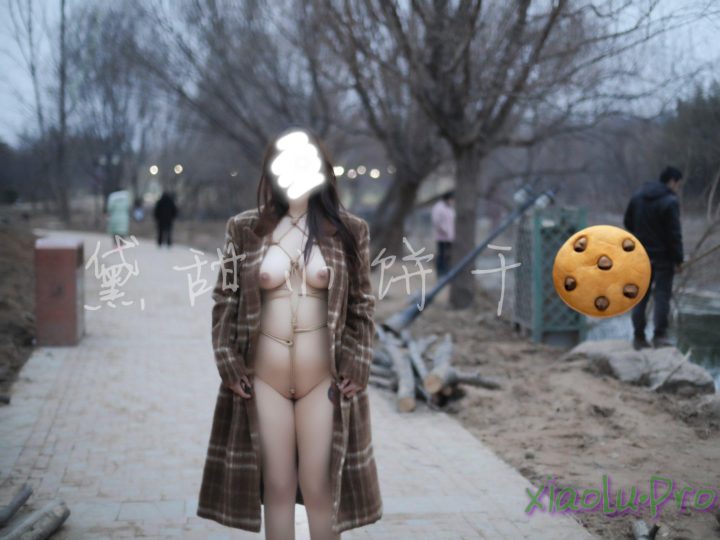 @奴印文化 5位女主尺度视图私拍合集[355P+98V/736M]