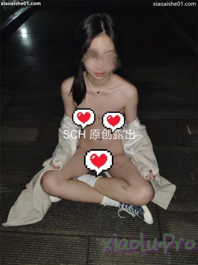 露出系@SCHYCLC 裸-舞+私-拍视图合集[317P+19V+1.2G]