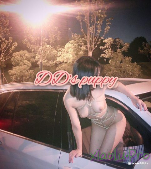 露出系抖M@DADIBABAO【一只喔】 私拍合集【195V-622P】2.1G