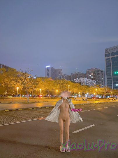 推特反差婊@91yscr - 大尺度私拍视图福利⭐极品身材粉乳嫩鲍~各种场合大胆露出~约啪群P内射流浆~强烈推荐【266P/6V/178MB】