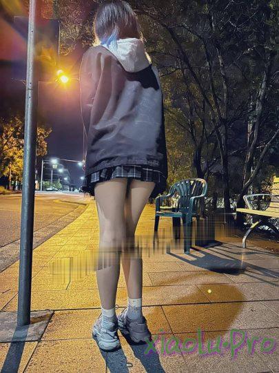 大学妹纸户外露出趴趴走 [22P/4V/1.88G]