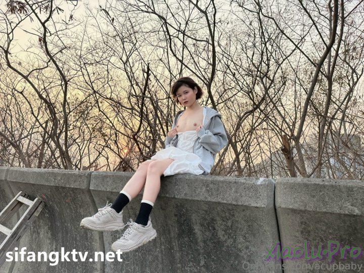 OnlyFans香港反差网黄@Acupbaby - 户外露出xxoo图包视频合集 [89V/169P/8.86GB]