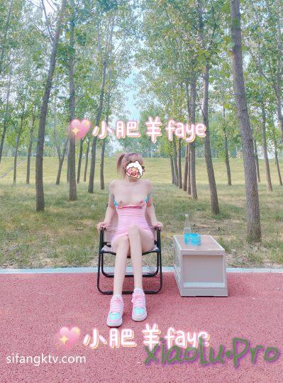 @小肥羊faye - 露出图包28p