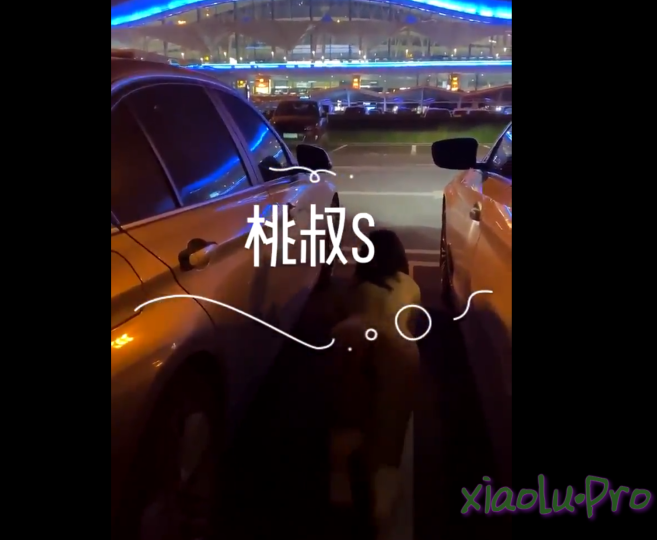 外站大神@桃叔S - 性调教新作-各种调教甄选 台球弹B+鞭抽+打屁股+户外露出+车震+道具插B