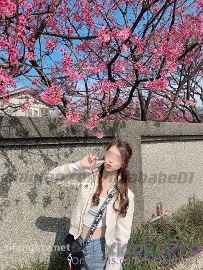 @miababe1 - onlyfans福利 露出图包视频 [296P+25V/737M]
