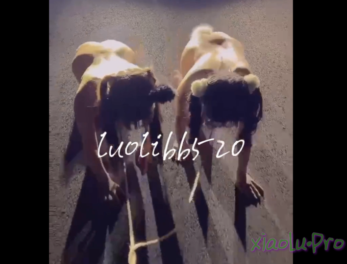 萝莉小母狗luolibb520视频合集 [16V/204M]