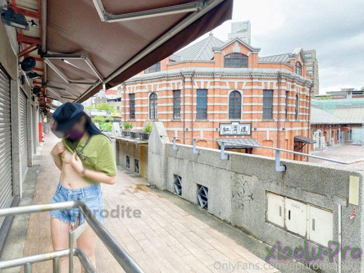 @阿芙罗狄蒂 aphrodite - OnlyFans私拍 露出福利合集 [616P+68V/2.5G]