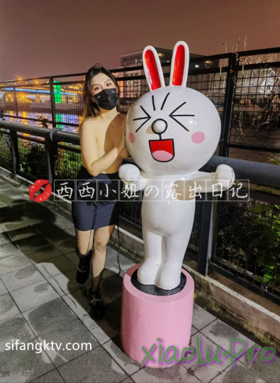 @西西小姐 的露出日记 [959p+18v/0.98G]