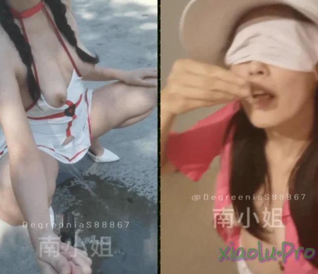 @南小姐 - 私拍 户外露出+重口play [22V/2G]