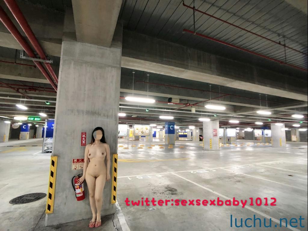 薇安安@sexsexbaby1012 推特户外露出图片视频存档 [395P/178M]