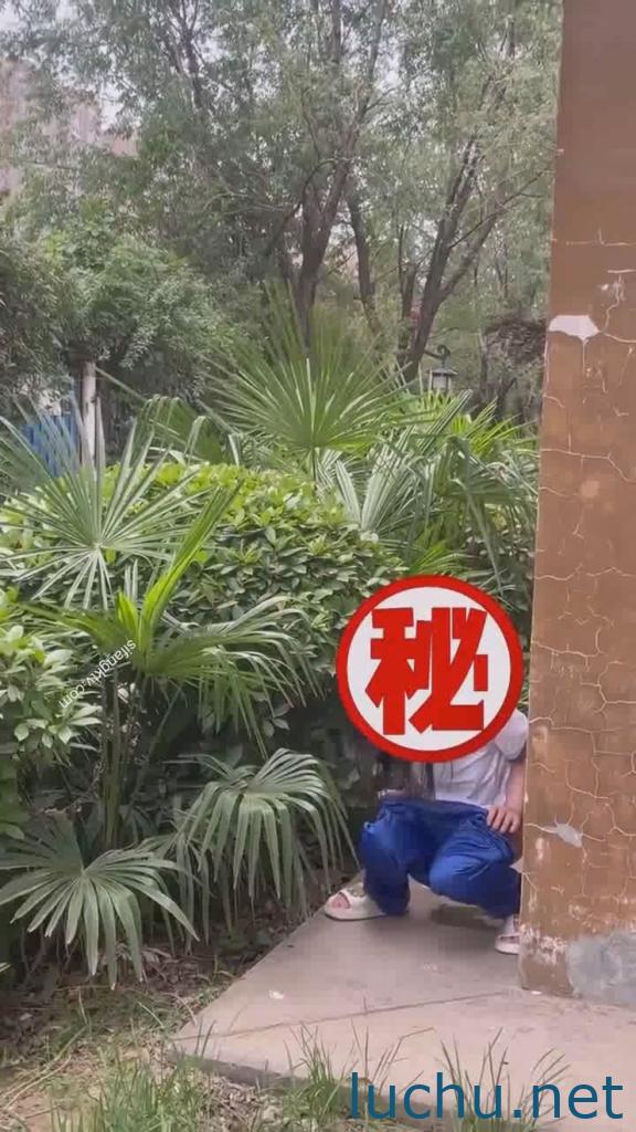 露出狂@琳琳linlin 私拍福利第二季 [28V/4.01G]