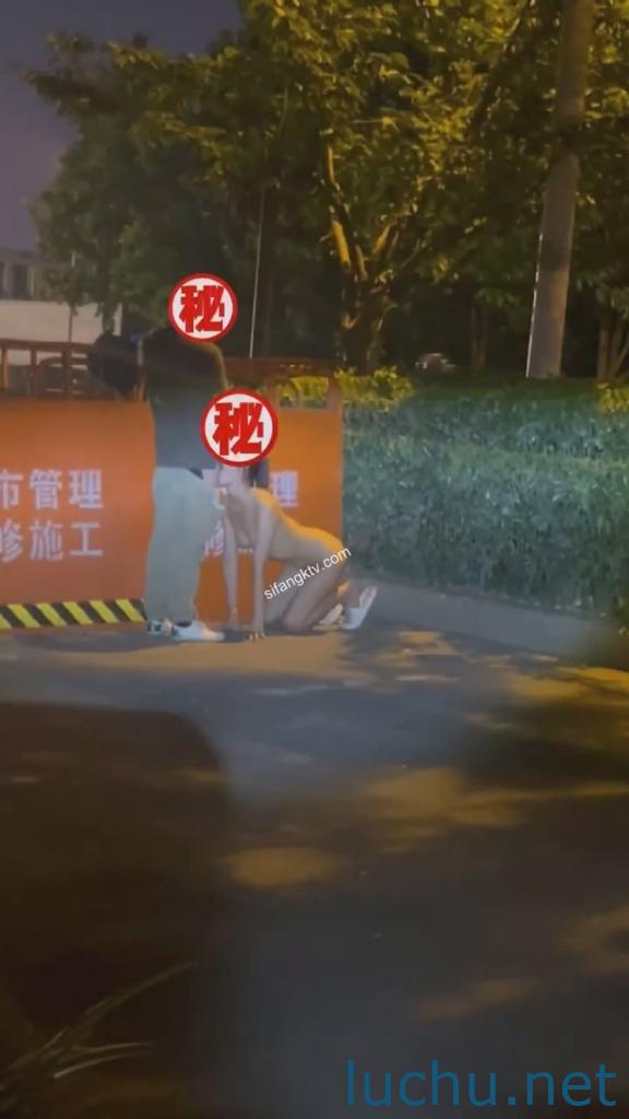 露出狂@琳琳linlin 私拍福利第二季 [28V/4.01G]