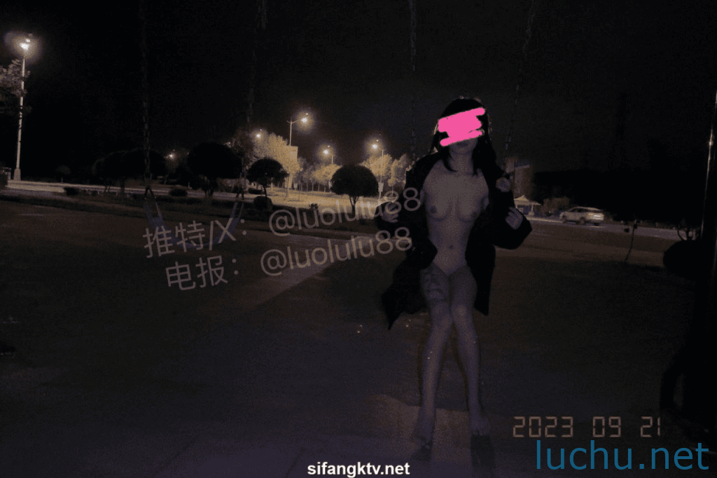 @洛鹿鹿 - 公开场合露出 裸取外卖 VIP福利 [97P+23V/251M]