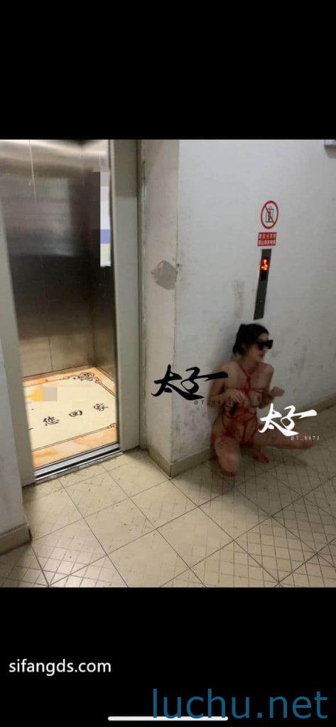 @太子妃 高门槛福利 户外露出调教 [499P+46V/1.56G]
