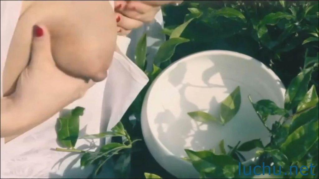原味奶茶 [1V/40M]