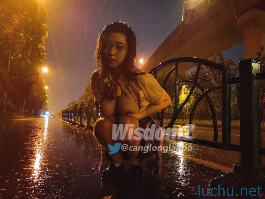 酒月&WisdomZ 小蓝鸟露出调教存档[774P+31V/296M]