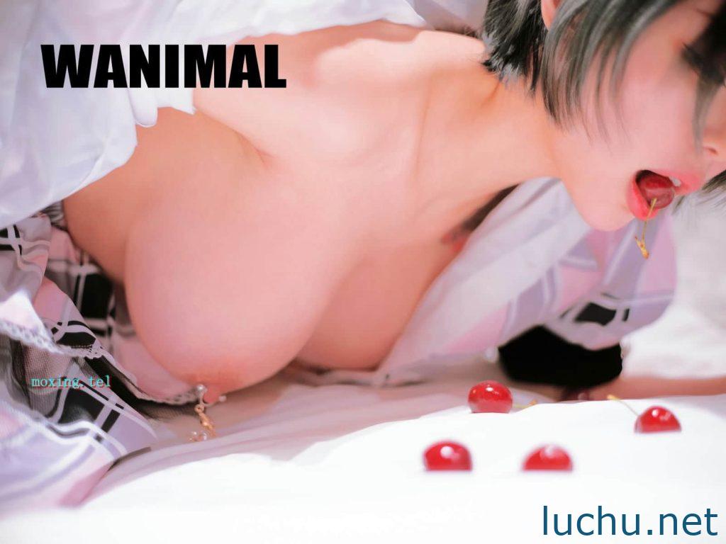 @知一妹妹 [338P+36V/804M]