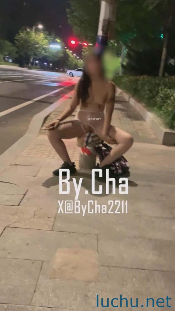 查小理内部群7月母狗露出任务[2V/911M]