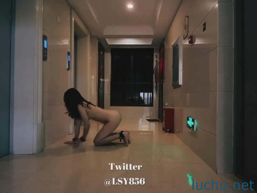 @LSY856 推特户外露出存档[1P+18V/437M]