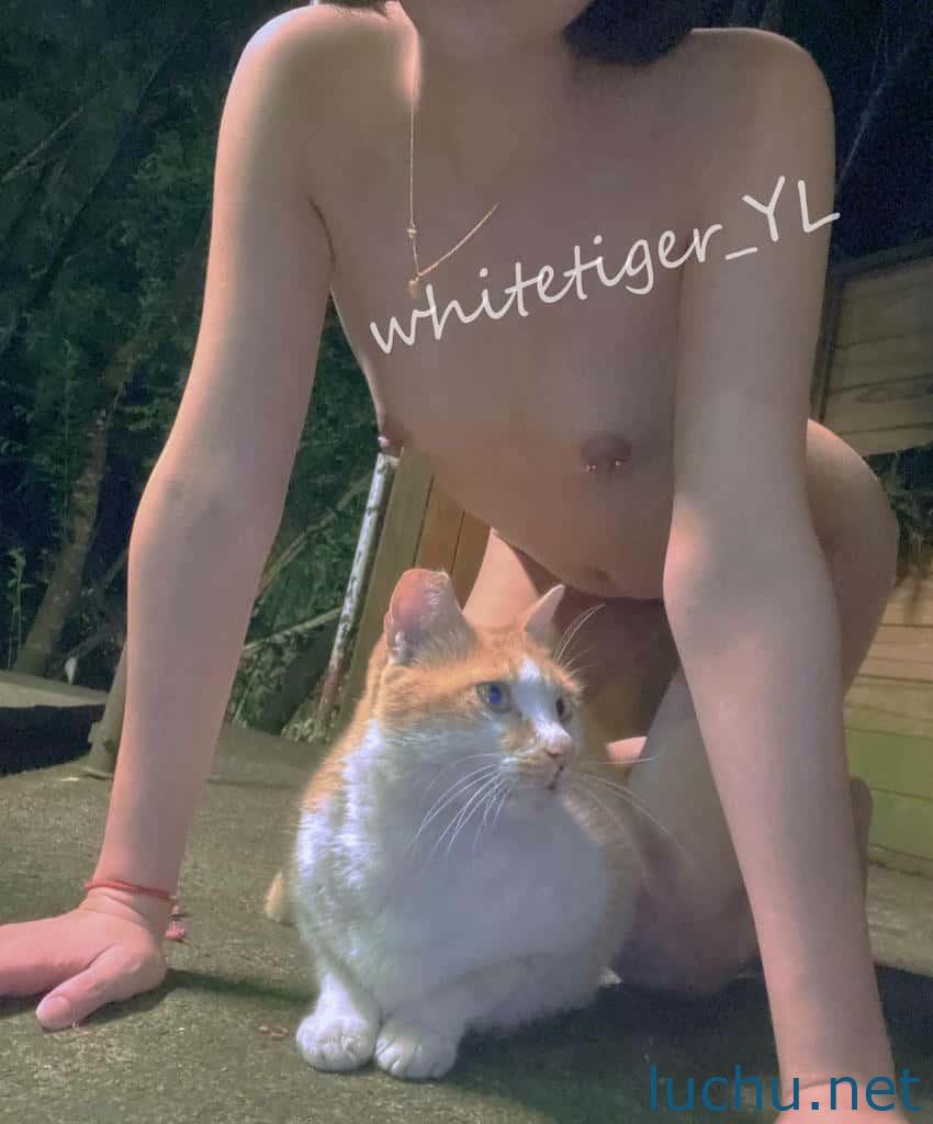 @whitetiger_YL 订阅流出福利 露出调教[866P+108V/4.1G]