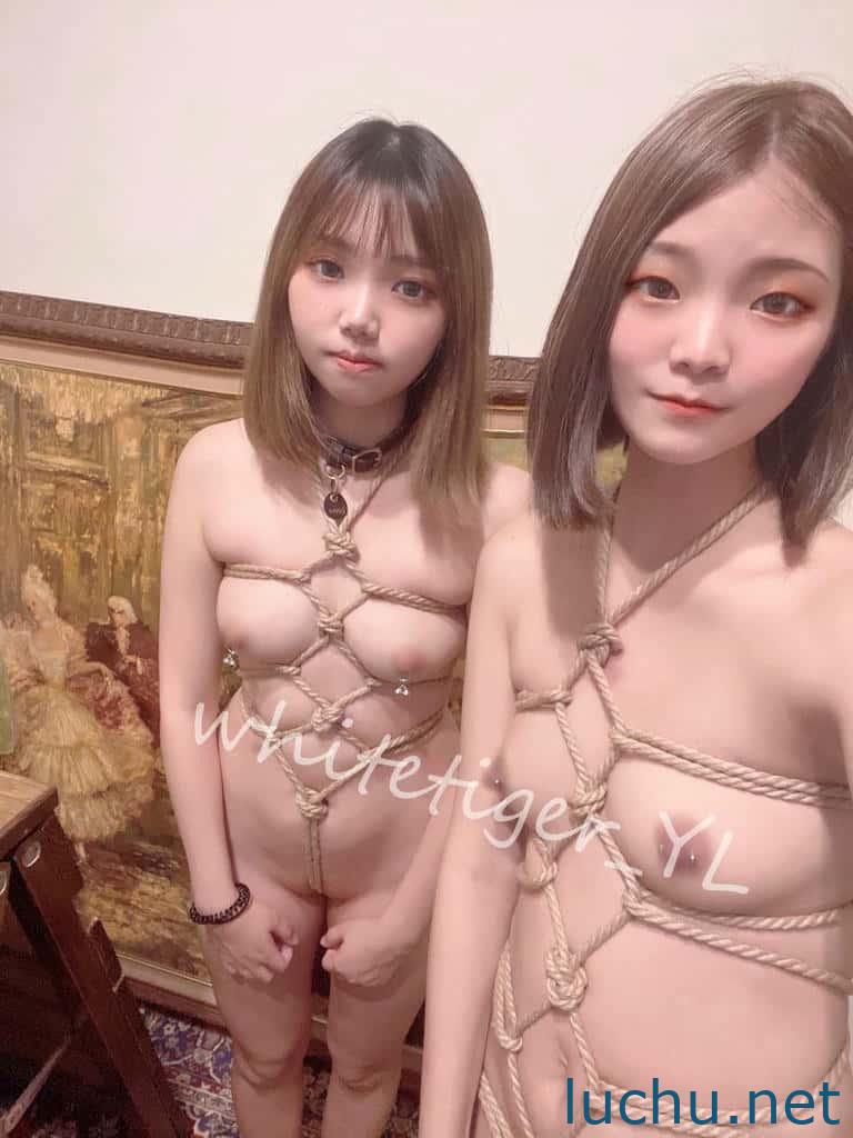 @whitetiger_YL 订阅流出福利 露出调教[866P+108V/4.1G]
