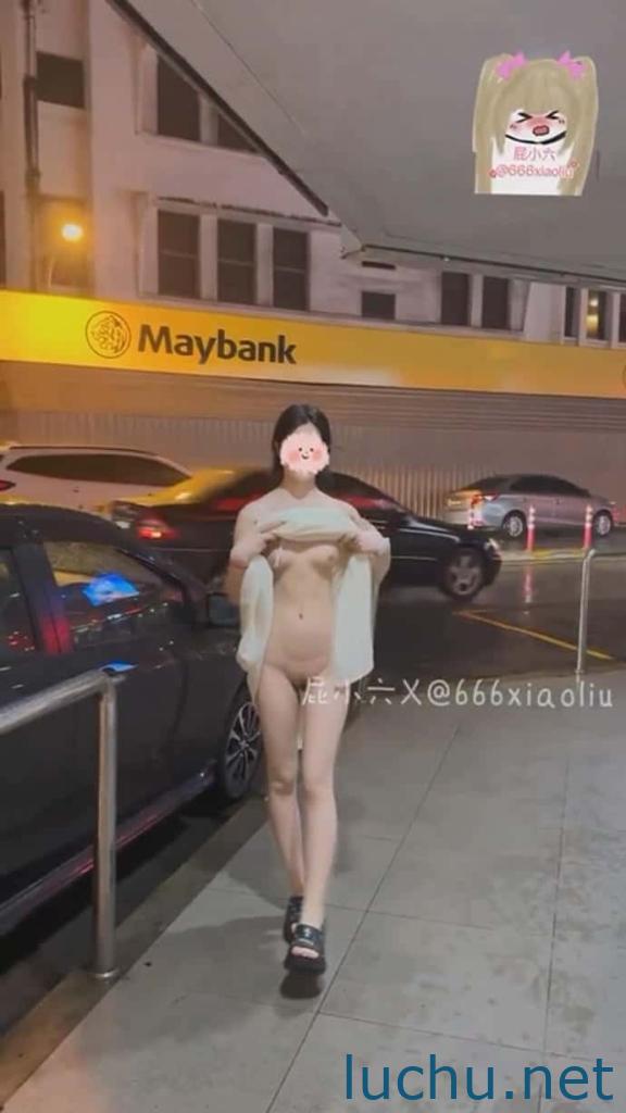 @屁小六 推特小蓝鸟户外露出视图存档[43P+61V/416M]