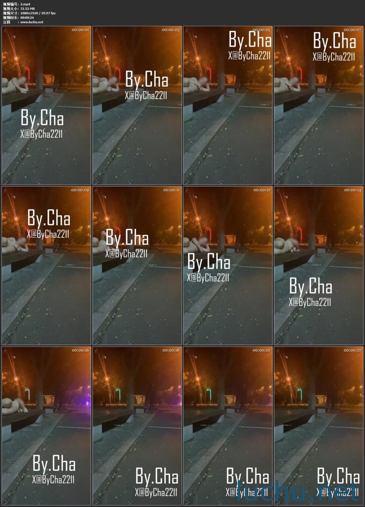 查小理内部群 母狗任务露出裸行自拍[3V/598M]