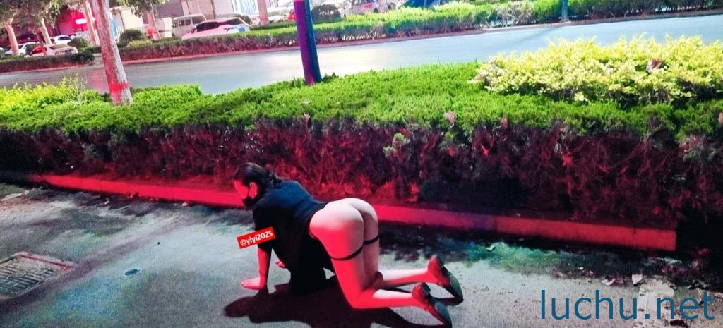 爱露出的人妻@美臀佳人清儿 人前露出视图存档[140P+52V/1.47G]