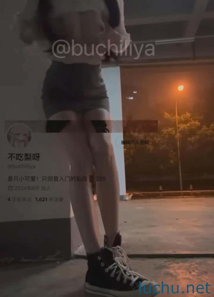 @不吃梨呀 推特露出福利姬视图存档[6P+17V/326M]