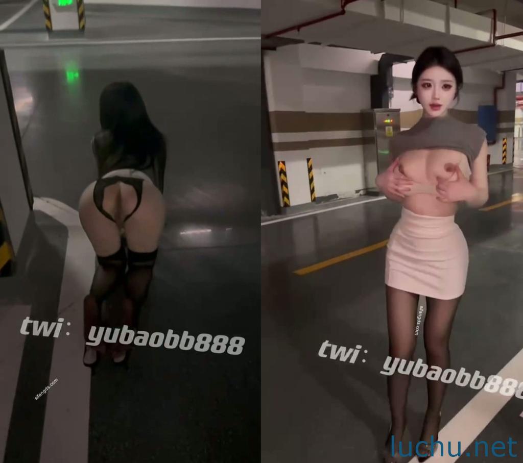 反差母狗@瑜宝 高价福利停车场露出[17P+3V/340M]