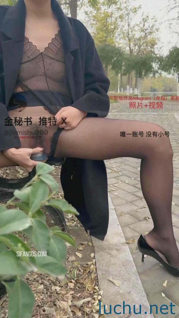 @金秘书 moonfish 12月付费福利 跳蛋露出 餐厅露出[23P+9V/1.82G]