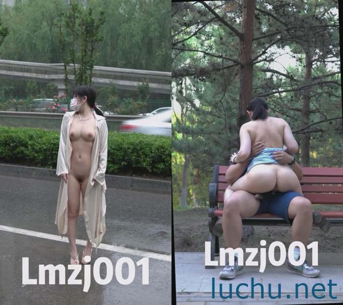帝都绿帽夫妻Lmzj001 户外露出调教遛狗[2P+21V/993M]