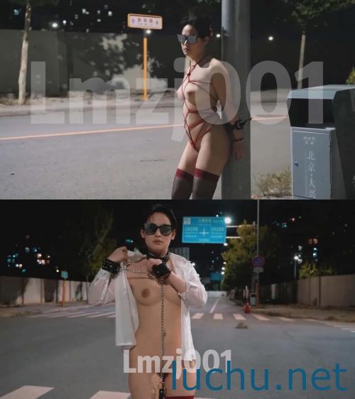帝都绿帽夫妻Lmzj001 户外露出调教遛狗[2P+21V/993M]