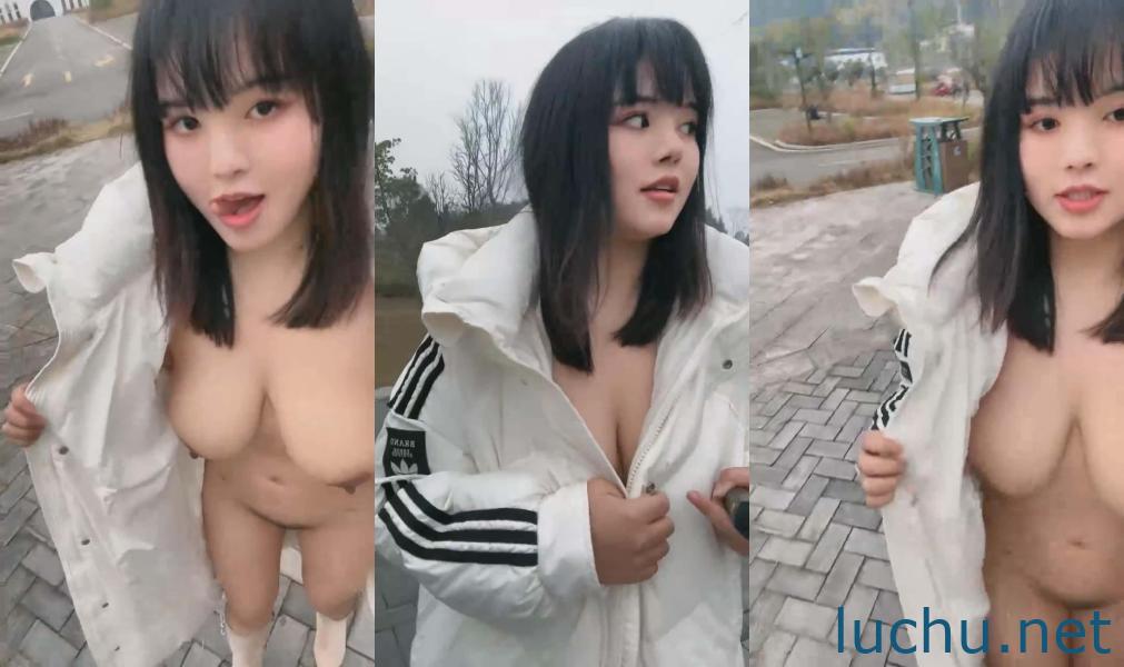 巨乳主播@葡萄熟透了 户外露出视频第二弹[6V/3.12G]