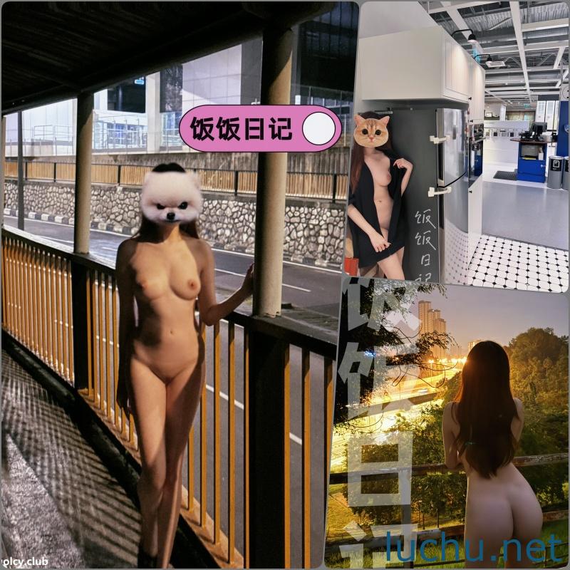 @饭饭日记 推特户外露出视图存档[61P+8V/454M]