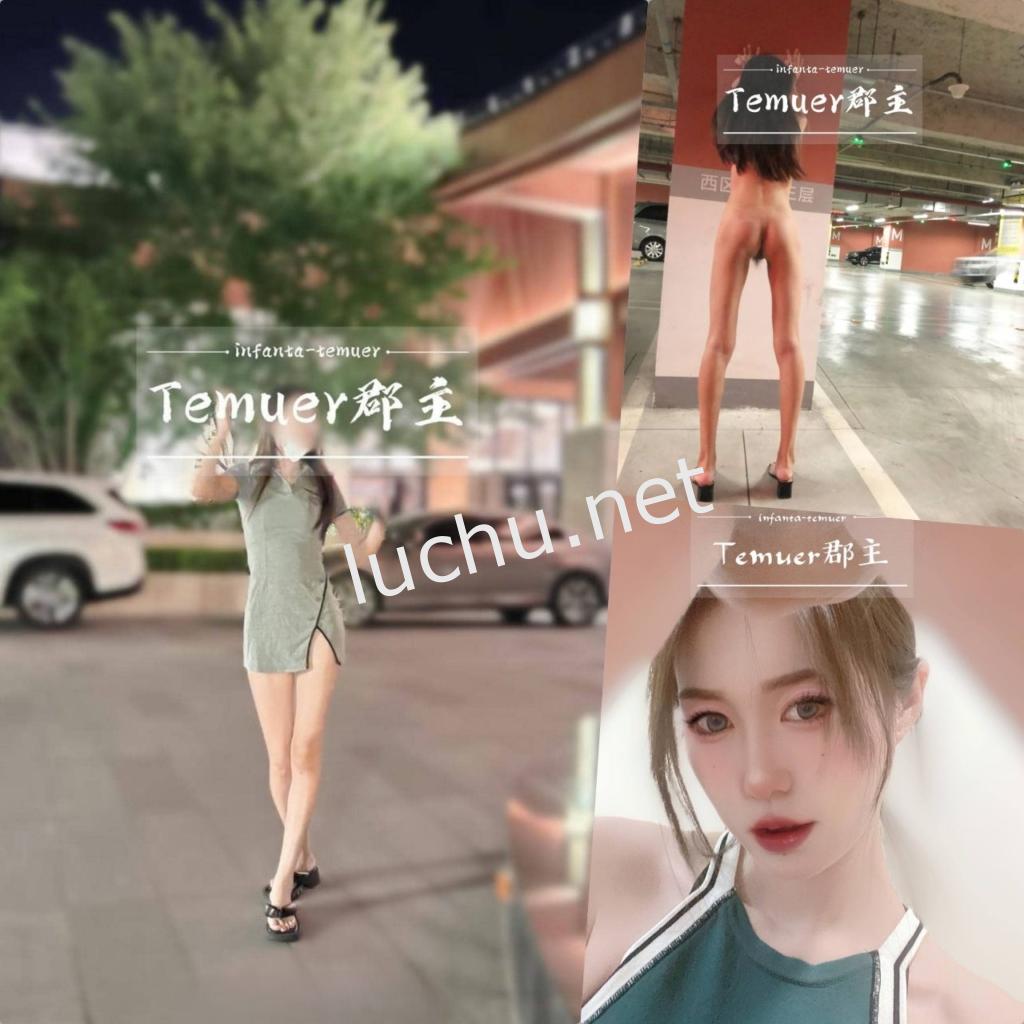 @temuer郡主 付费门槛福利[1051P+175V/2.66G]