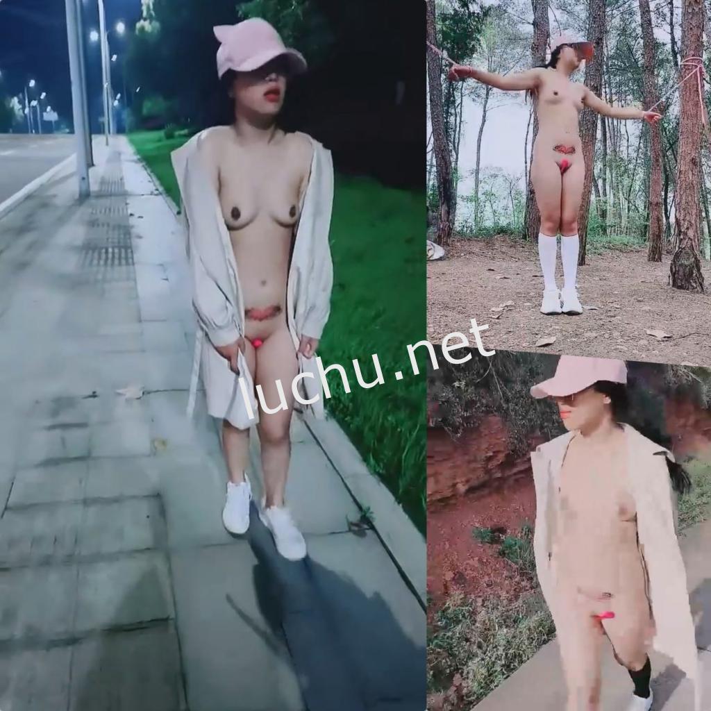@零五年小洁 户外裸奔 马路捆绑 商场公园露出调教 直播回放[9V/7.3G]